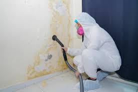 Best Post-Construction Mold Inspection  in Youngstown, OH